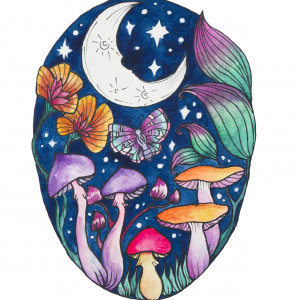 Aluniza espacio creativo