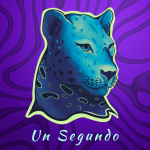 Diseños propios de Un Segundo