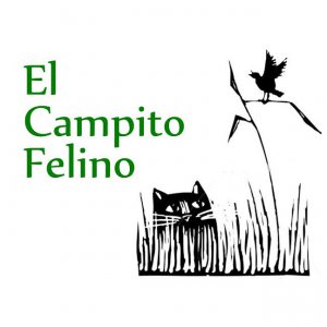 El Campito Felino