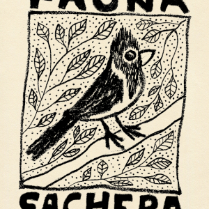 Fauna Sachera