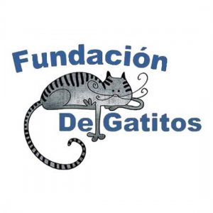 Fundación De Gatitos