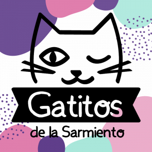 Gatitos de  la Sarmiento