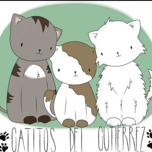 Gatitos del Gutiérrez