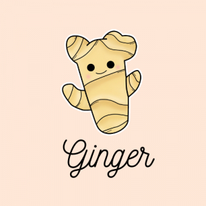 Ginger Almacén Creativo