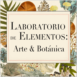Laboratorio de Elementos