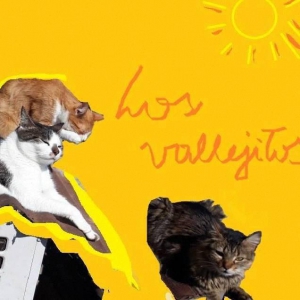 Los Vallejitos