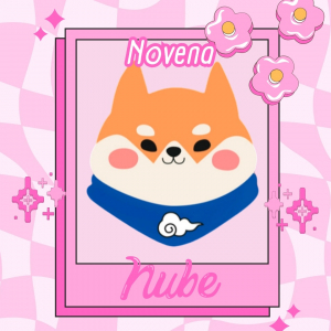 Novena Nube