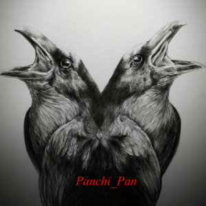 Panchi