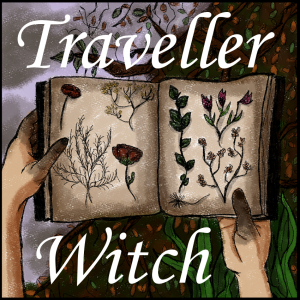 Traveller witch
